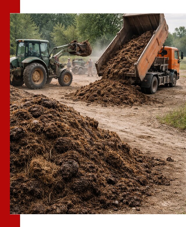 Доставка навоза самосвалами в Апатитах для сельхозпотребностей